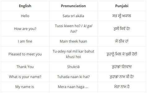 punjabi slang words list.